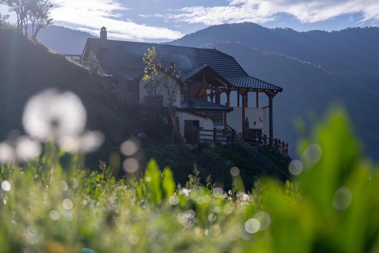 Zeneli Alpin Chalet Cerem Eksteriør bilde